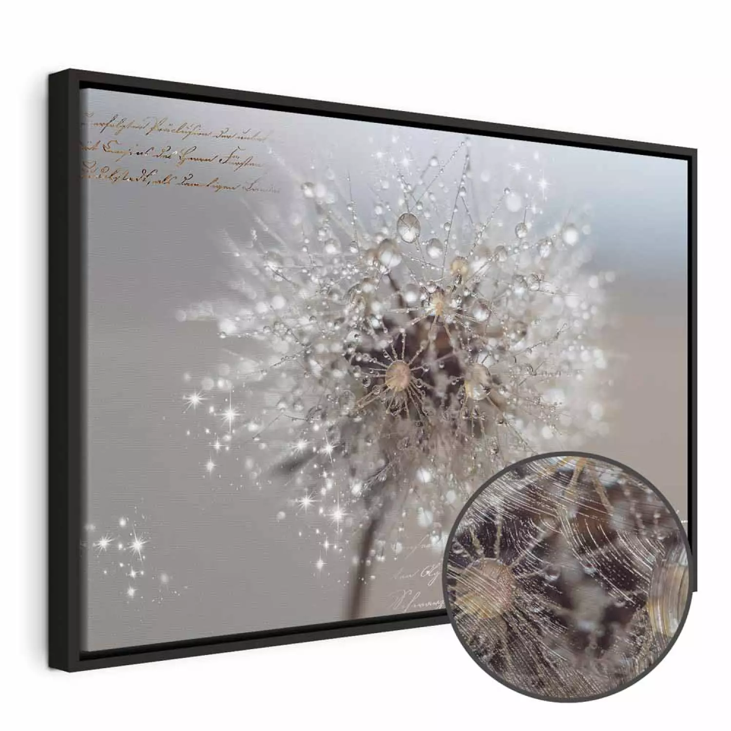 Canvas Painting Dandelion in Sepia Tones (1-piece) Wide - flower and texts  - bimago