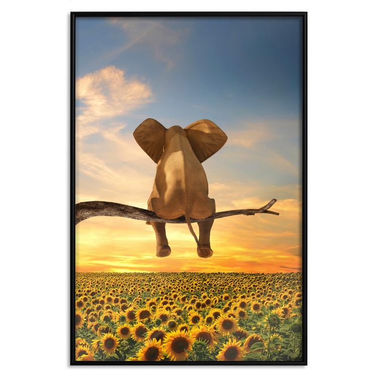 Poster Elephant and Sunflowers [Poster]