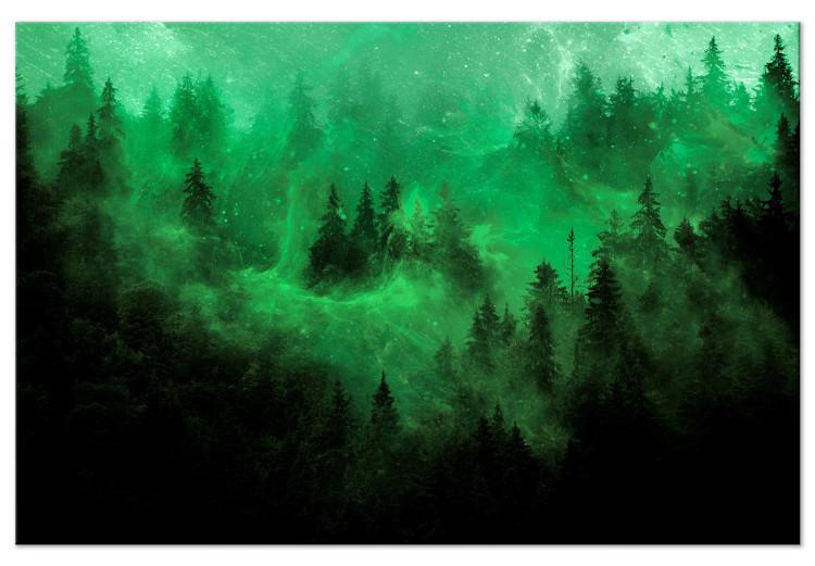 Canvas Magical Mist (1-piece) - third variant - green forest landscape