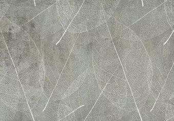 Wall Mural Nature direction - landscape with white leaf motif on muted background Wallpaper Cropper