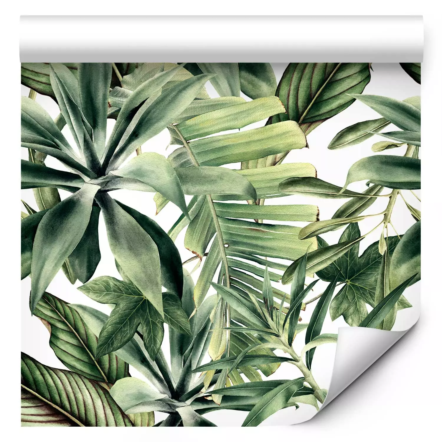 Wallpaper Plant Fans