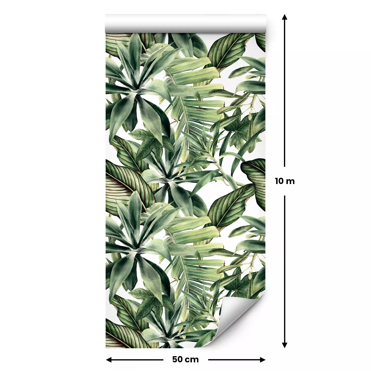 Wallpaper Plant Fans