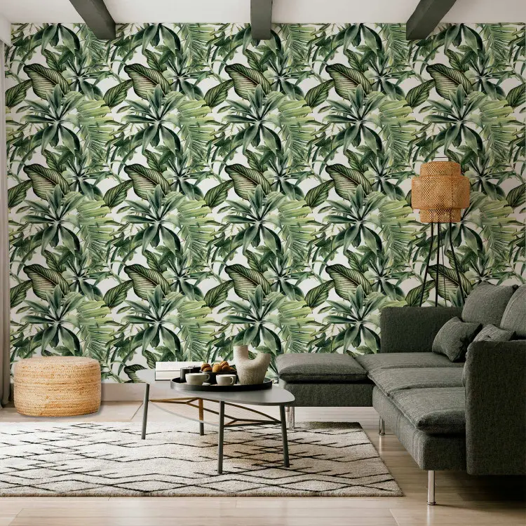 Plant Fans