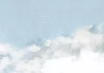 Wall Mural Blue sky - delicate landscape with white birds and clouds motif Wallpaper Cropper