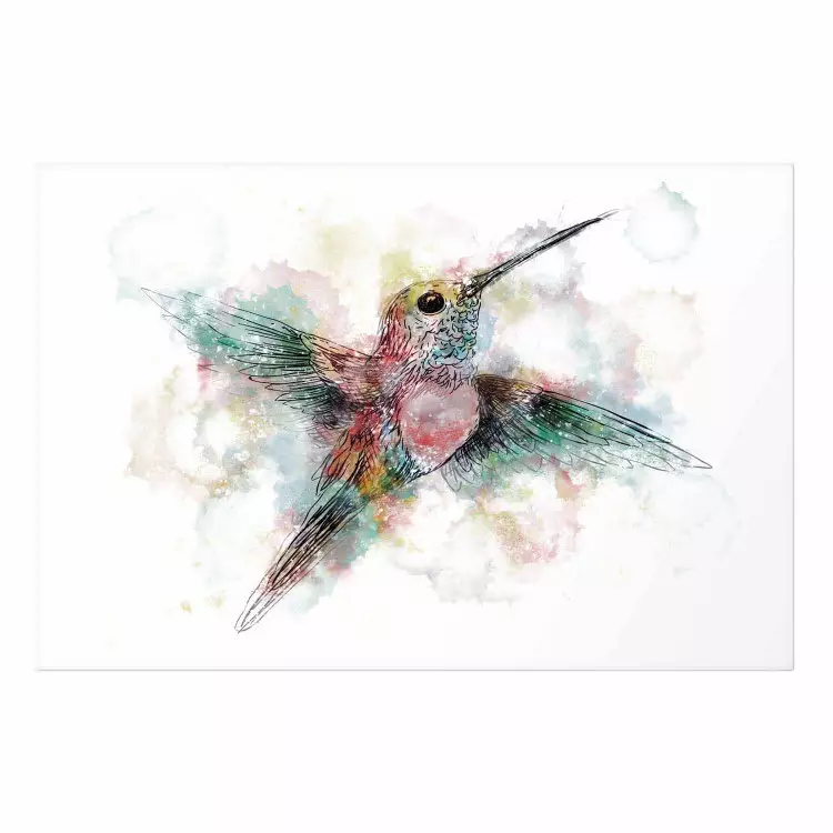 Poster Colorful Hummingbird [Poster]