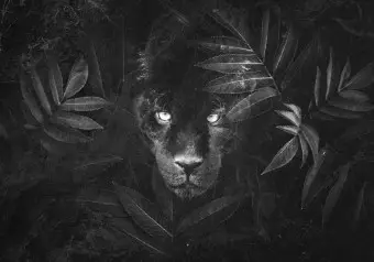 Photo Wallpaper Crouching black panther - animal motif with jungle elements Wallpaper Cropper