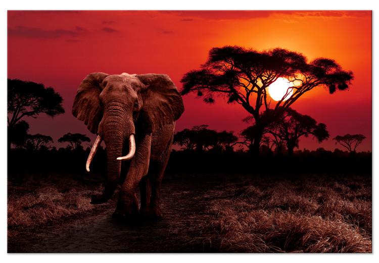 Canvas African Trek (1-piece) Wide - second variant - walking elephant