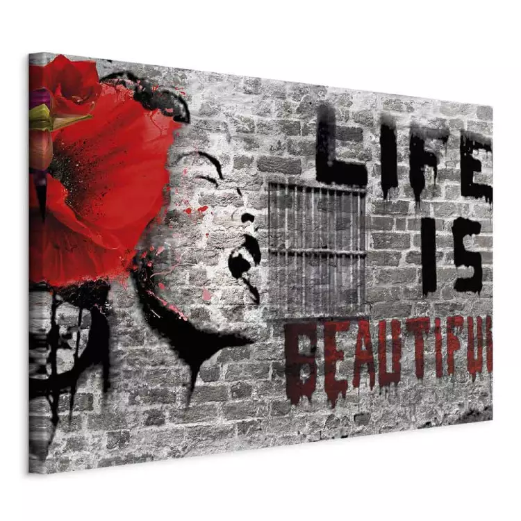 Amazon.com: SIGNWIN Framed Canvas Wall Art Banksy Life is