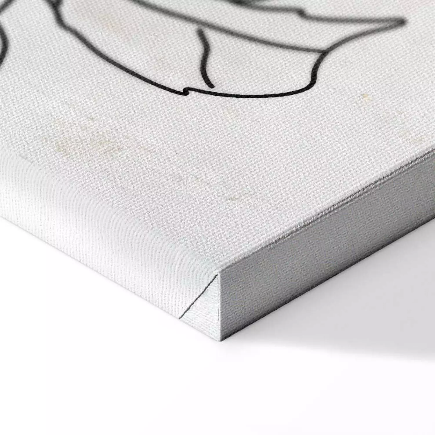Canvas Print Charcoal Sketches - black and white line art in delicate flowers