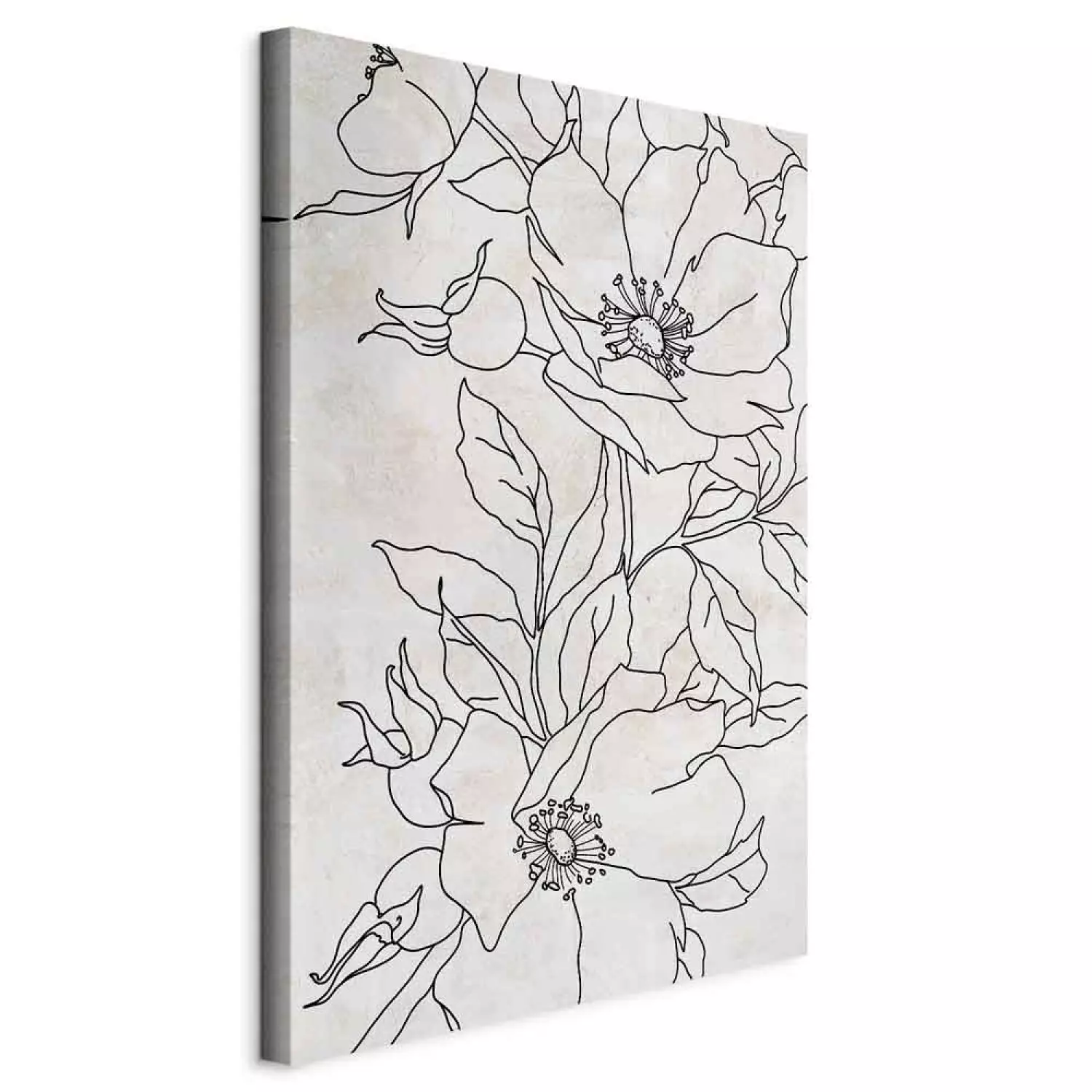 Canvas Print Charcoal Sketches - black and white line art in delicate flowers