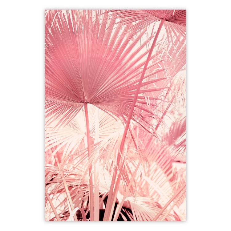Poster Pink Palm Trees - Leaves in Pastel Colors on a Sunny Day