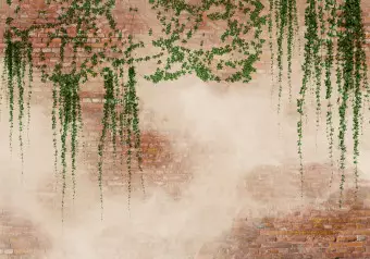 Wall Mural Ivy on wall - green leaf vines on brick red wall Wallpaper Cropper