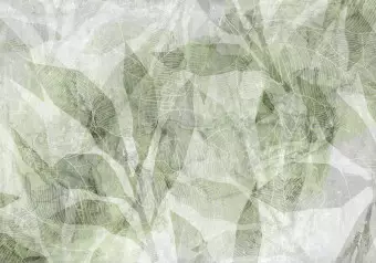 Wall Mural Abstract shadow - interlaced shapes and outline of leaves - green Wallpaper Cropper