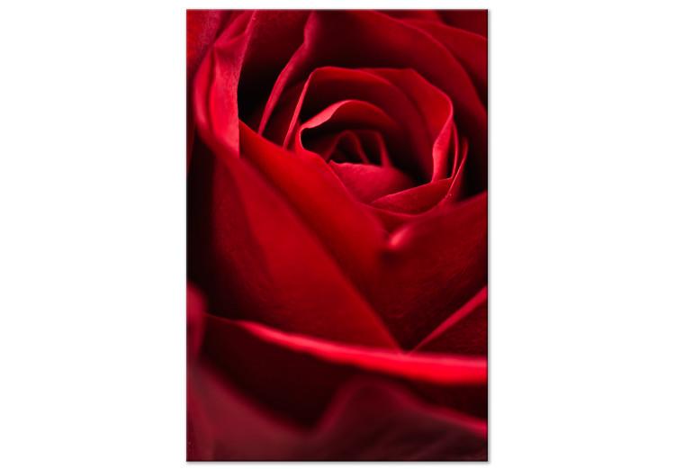 Canvas Red Flower (1-piece) - close-up of delicate rose petals