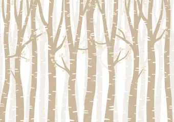 birch tree wallpaper   b&q