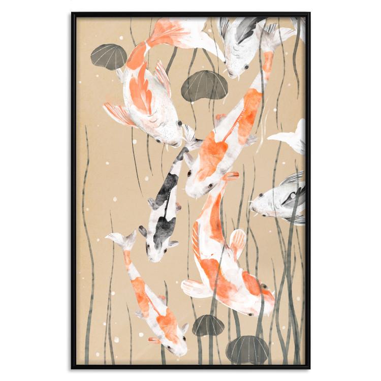 Poster Koi Carps - Floating Painted Japanese Carp Among the Seaweed