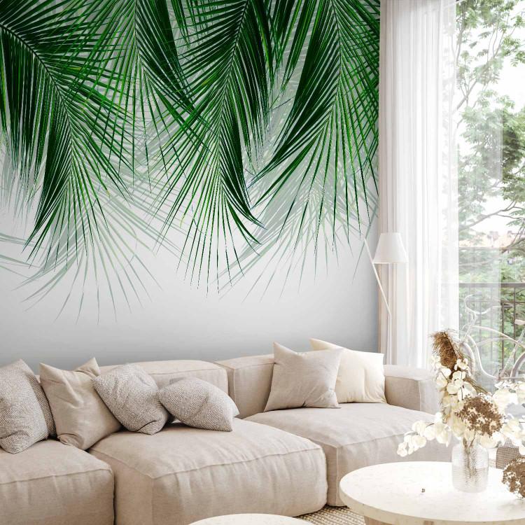 Wall Mural Under a Tropical Plant - Branchy Palm Twigs With Green Leaves
