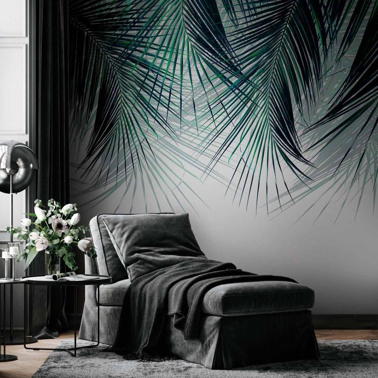 Wall Mural Under the Tropical Plant - Branchy Palm Twigs With Turquoise Leaves