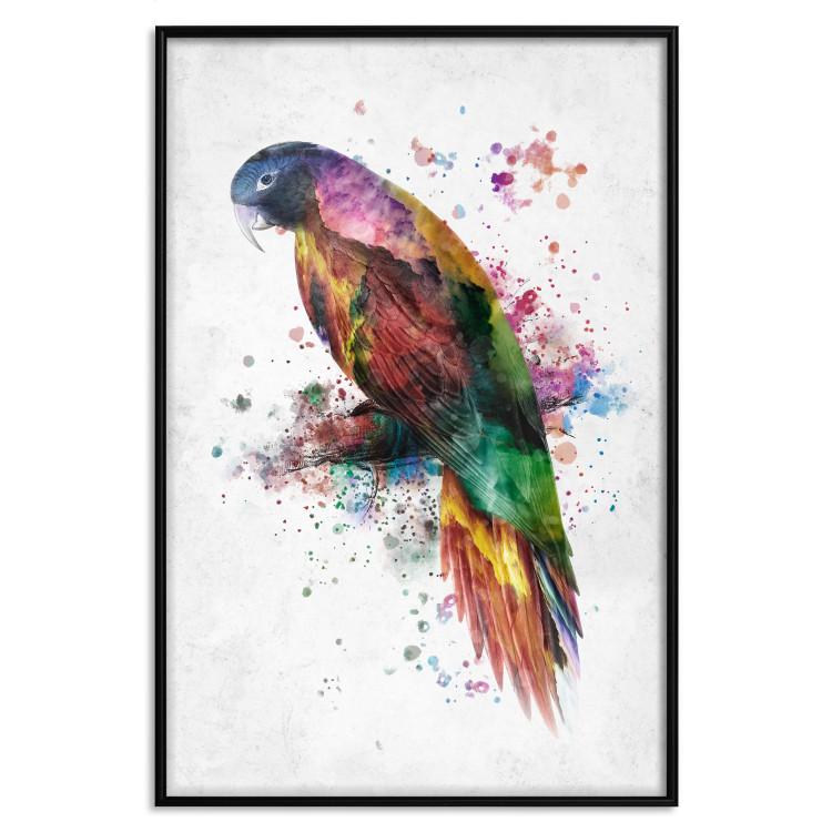 Poster Rainbow Parrot - Colorful Bird on a Branch Painted With Watercolors