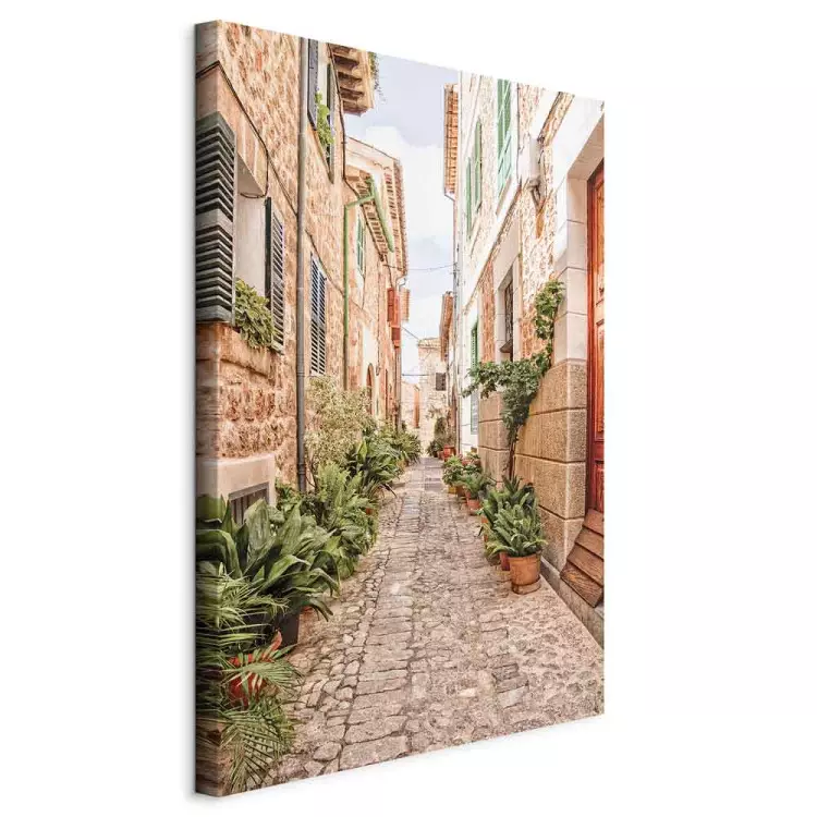 Quiet Alley (1-piece) - view of a Spanish town and plants