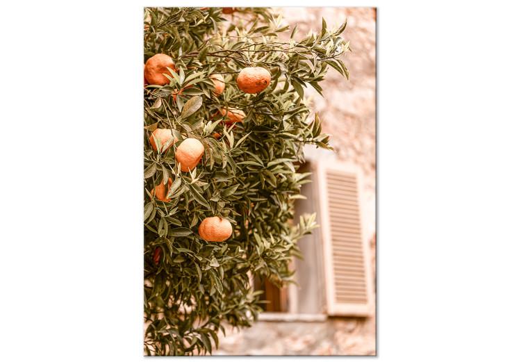 Canvas Urban Fruits (1-piece) - mandarin tree against a building backdrop