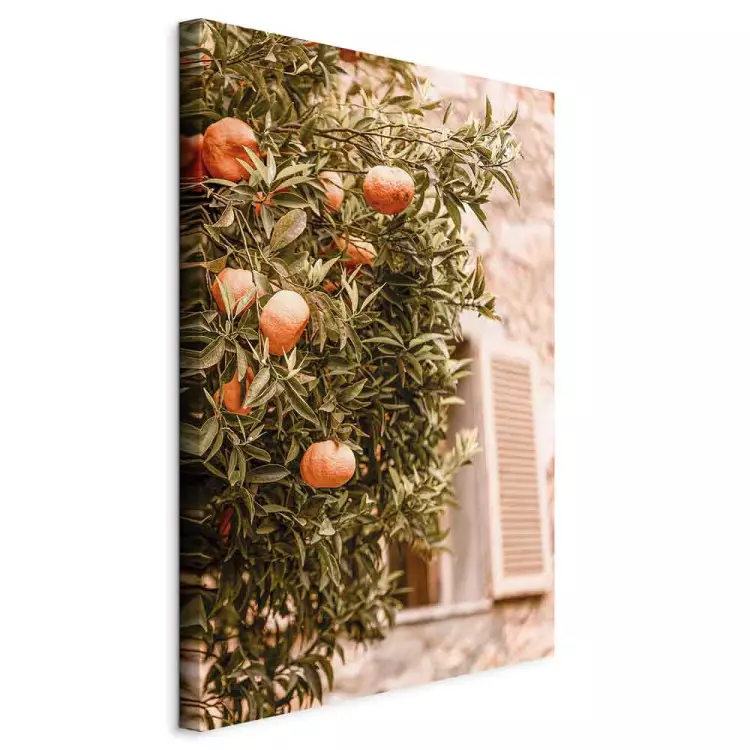Urban Fruits (1-piece) - mandarin tree against a building backdrop