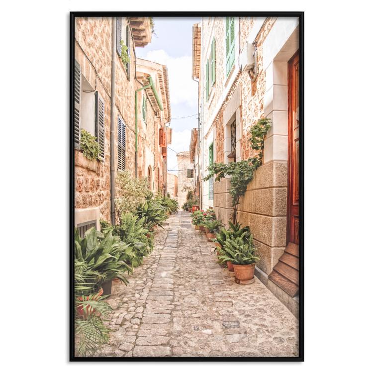 Poster Quiet Street - View of Historic Buildings and Vegetation