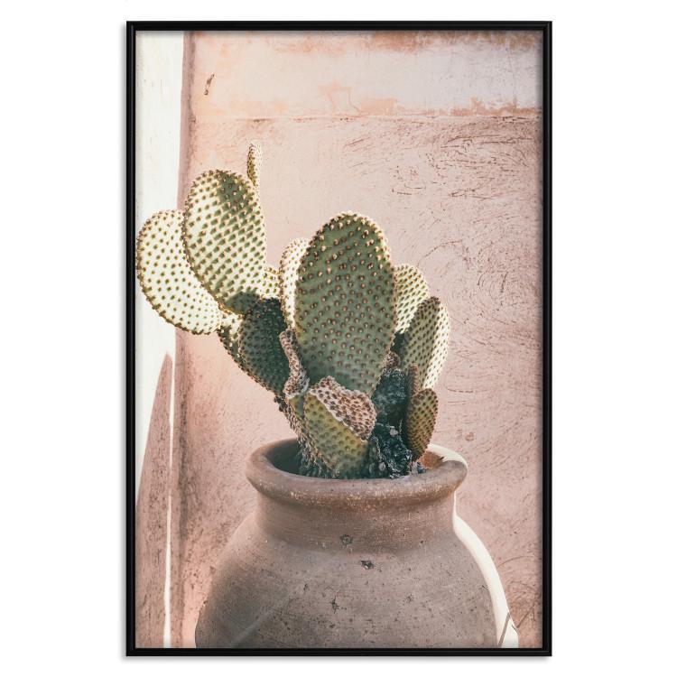 Poster Cactus in a Pot - Coniferous Plant in a Clay Pot