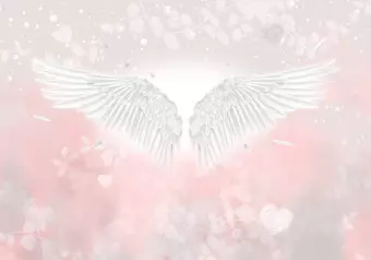 Wall Mural Angel Wings and Feathers - Heavenly Theme in Pink Clouds Wallpaper Cropper