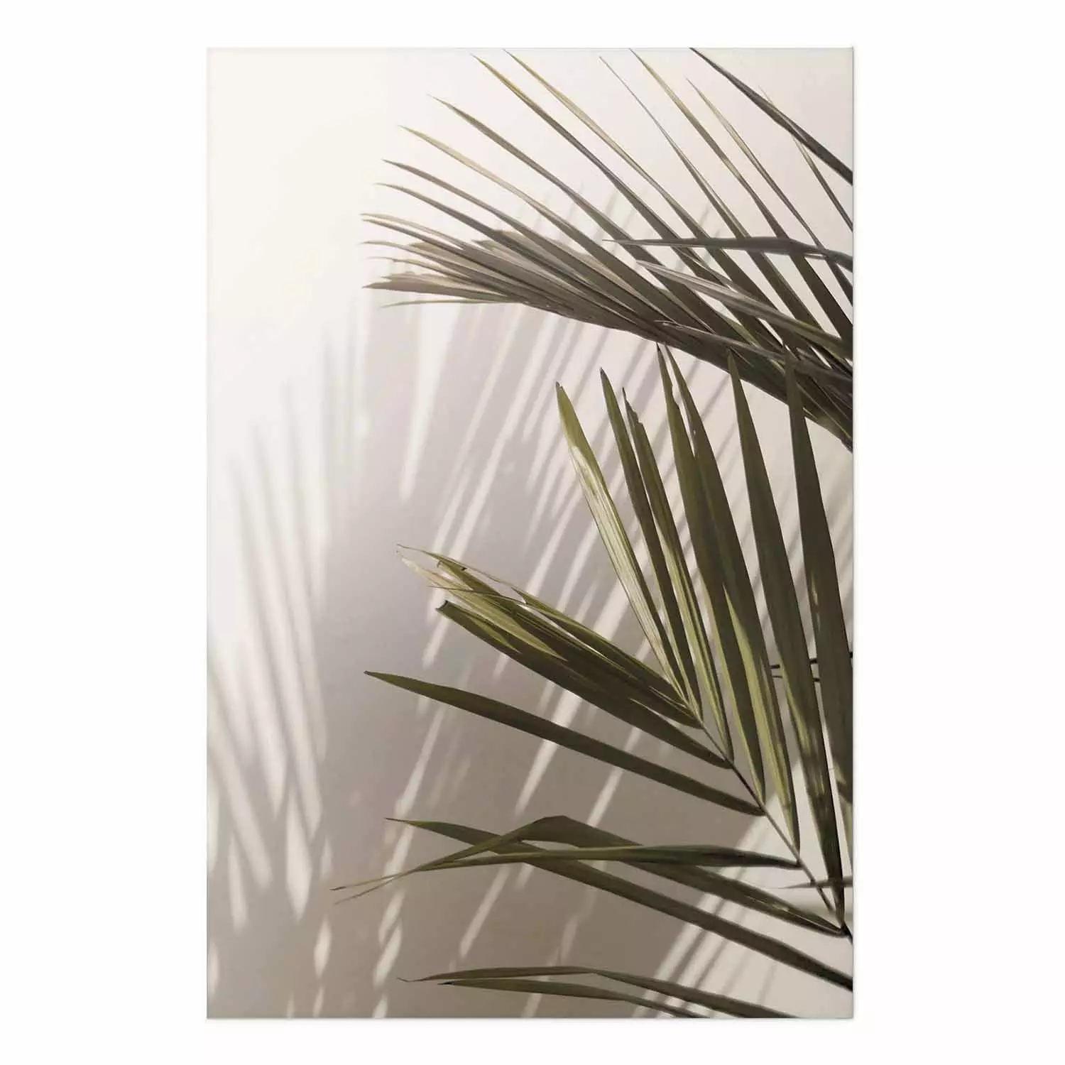 Wall Poster Palm Leaves - Sunny View With a Peaceful Play of Shade and Light