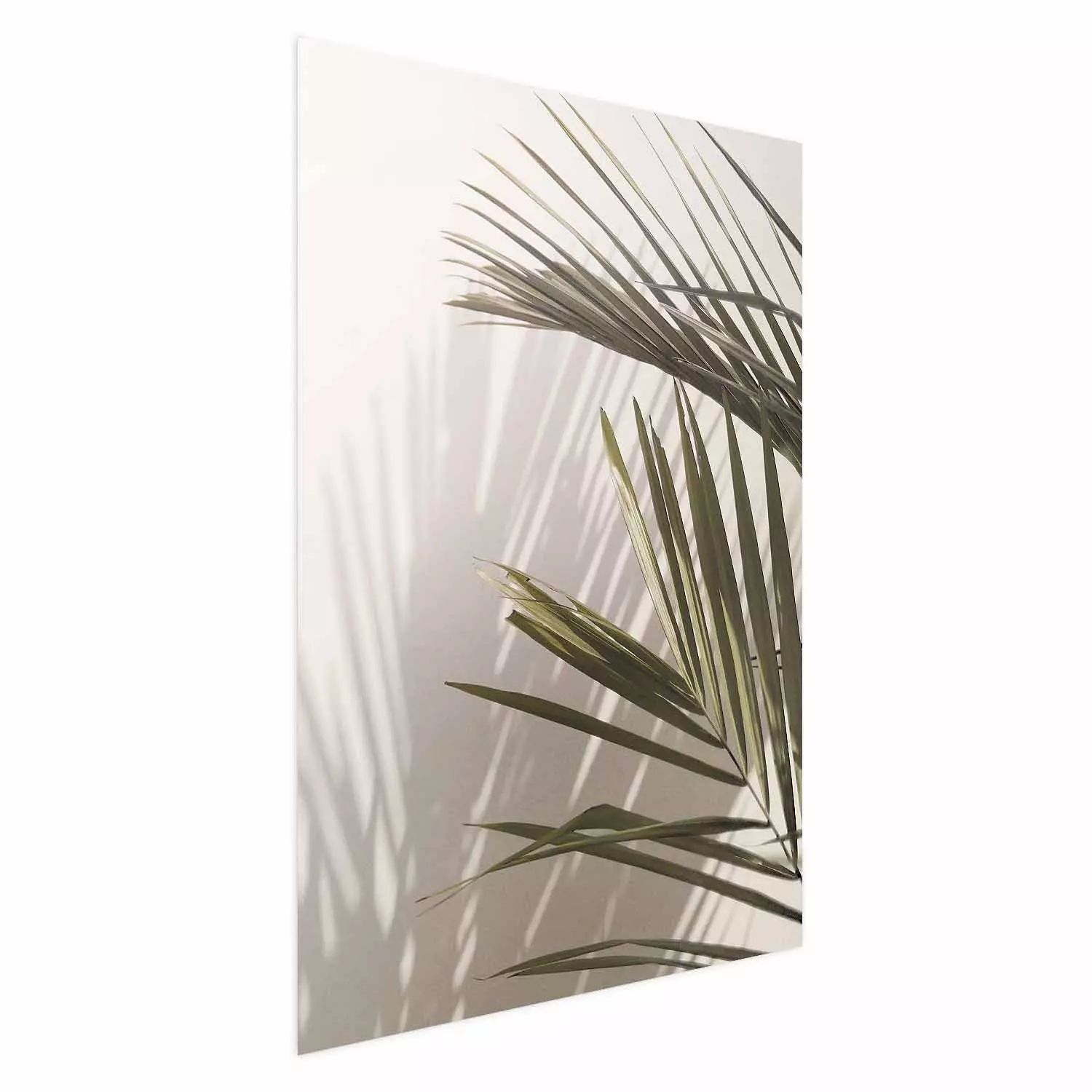 Wall Poster Palm Leaves - Sunny View With a Peaceful Play of Shade and Light