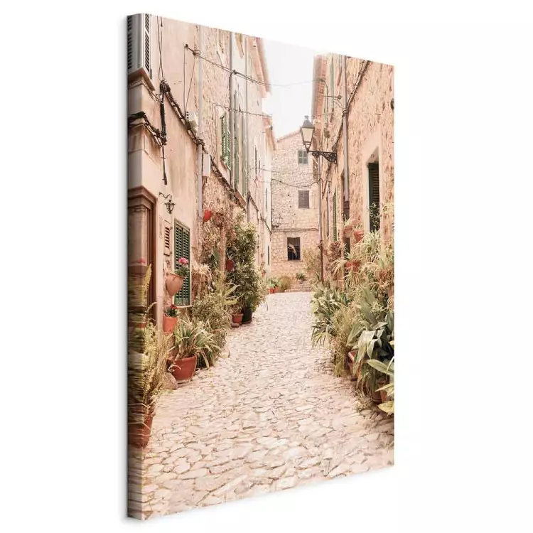 Old Streets of Valldemossa (1-piece) - city center landscape