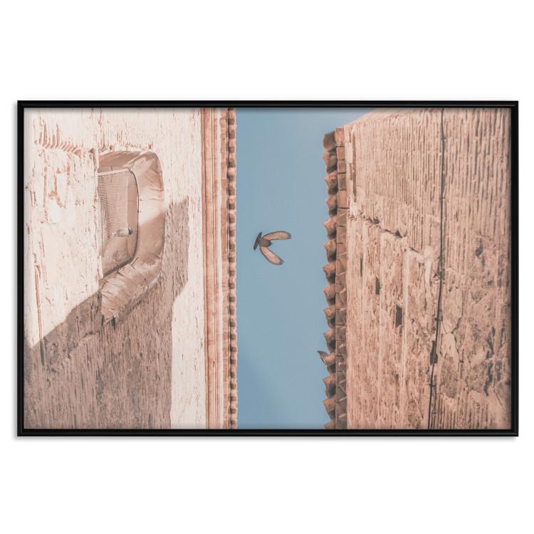 Poster City Bird - Pigeon Flying Between Two Buildings