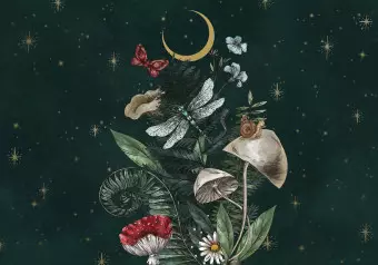 Photo Wallpaper Nature of the Forest - Moon, Mushrooms, Plants and Animals Against the Background of Stars Wallpaper Cropper