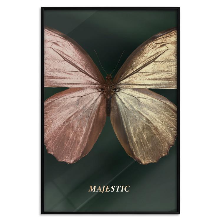Poster Majestic Insect - Butterfly With Unusual Wings on a Dark Background