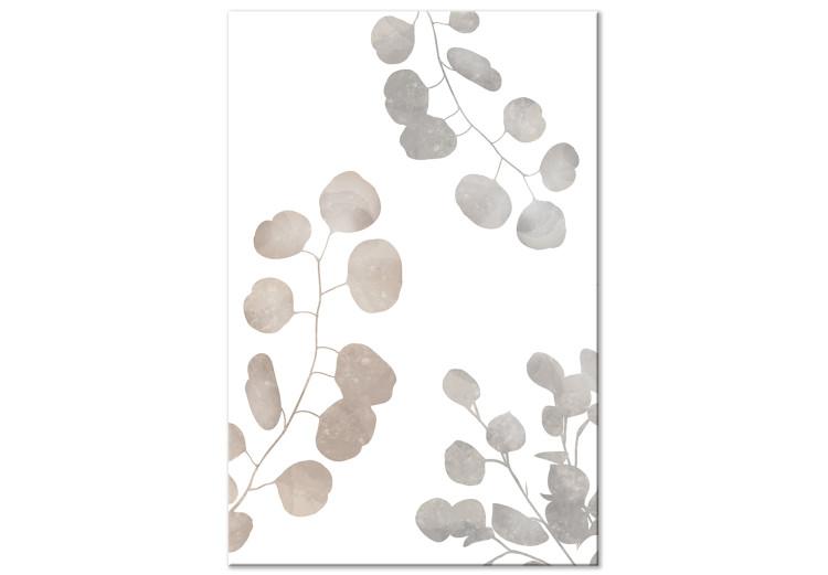 Canvas Eucalyptus Composition - Leaves and Twigs of Plants on a White Background