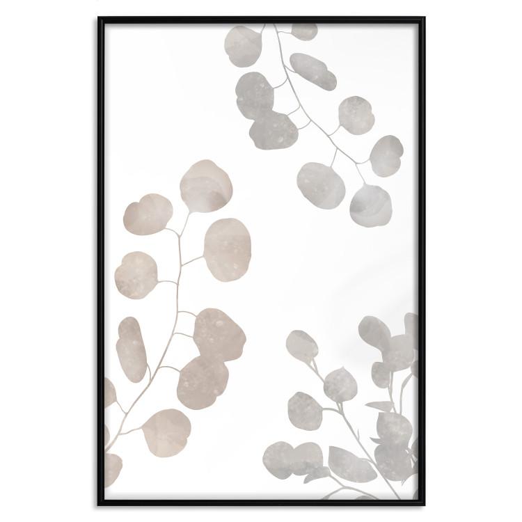 Poster Eucalyptus Plant Composition - Leaves and Twigs on a White Background