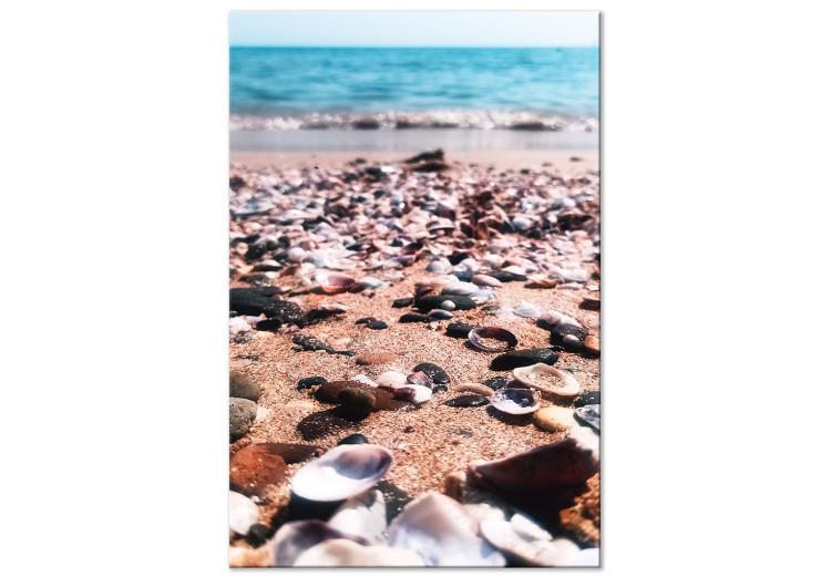 Canvas Summer Beach - Seashells Landscape on the Shore of the Blue Sea