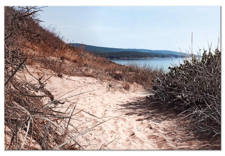 Canvas Descent to the Beach - Landscape of the Sea, Vegetation and a Sandy Road