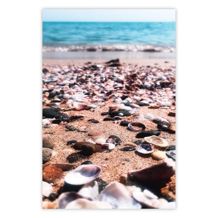 Poster Summer Beach - Photo of Seashells on the Shore of the Blue Sea