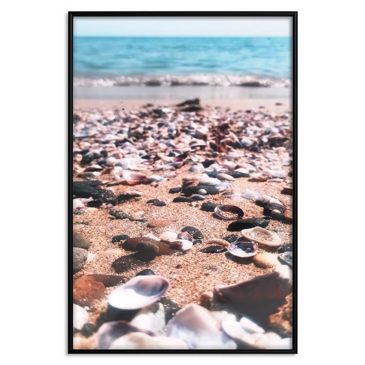 Poster Summer Beach - Photo of Seashells on the Shore of the Blue Sea
