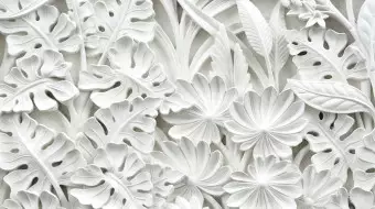 Photo Wallpaper Plaster Vegetation - White Spatial Composition of Leaves and Flowers Wallpaper Cropper