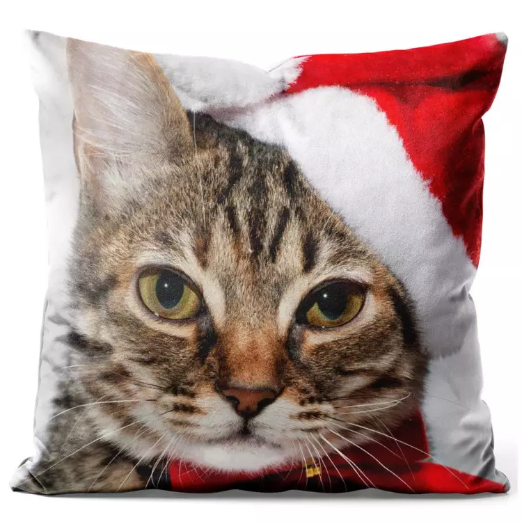 Christmas cat - an animal wearing a Santa hat with a red bow
