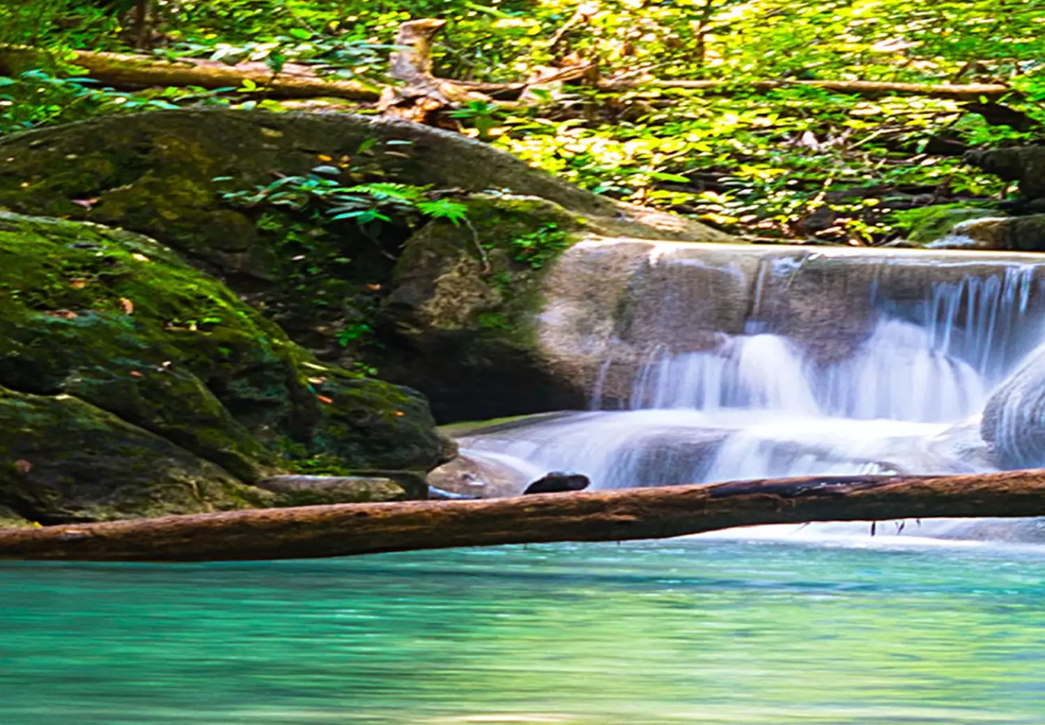Round Canvas Celadon Waterfalls - Rushing River Among Dense Trees