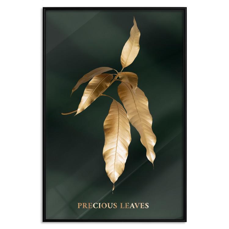 Poster Mango Leaves - Branch in Warm Tones on a Dark Background