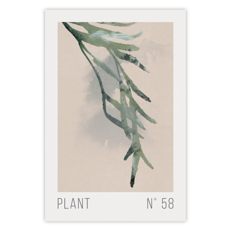 Poster Plant Number 58 [Poster]