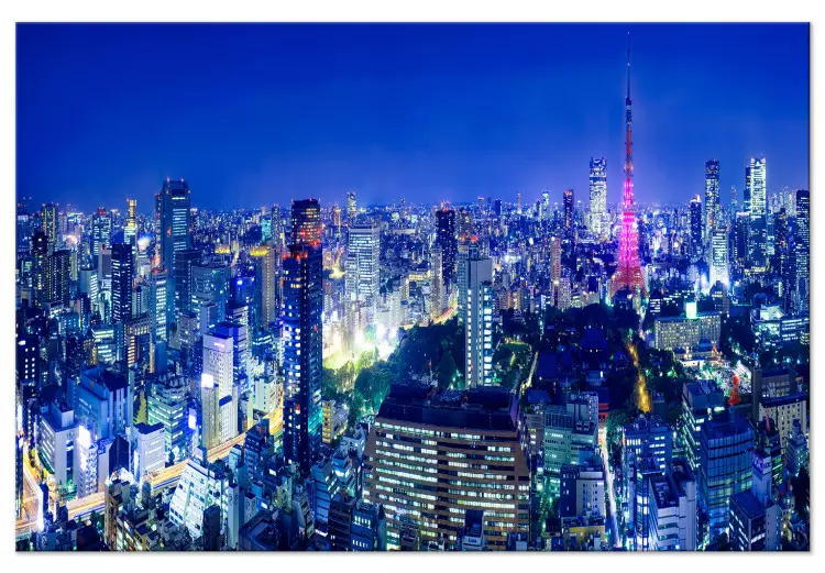 Large canvas print Tokyo: Modern City [Large Format]