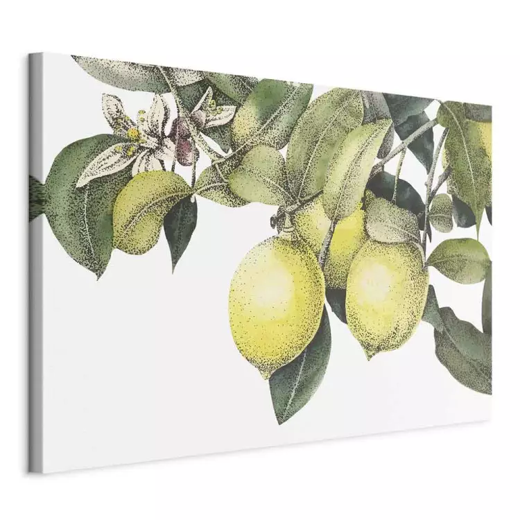 Lemons and Leaves (1-piece) - colorful citrus fruits on a tree