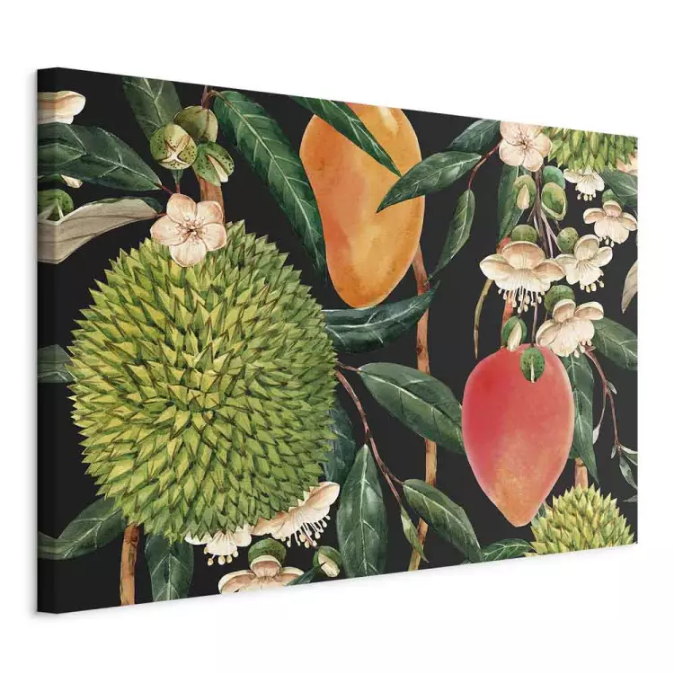 Exotic Fruits (1-piece) - tropical plants on a black background