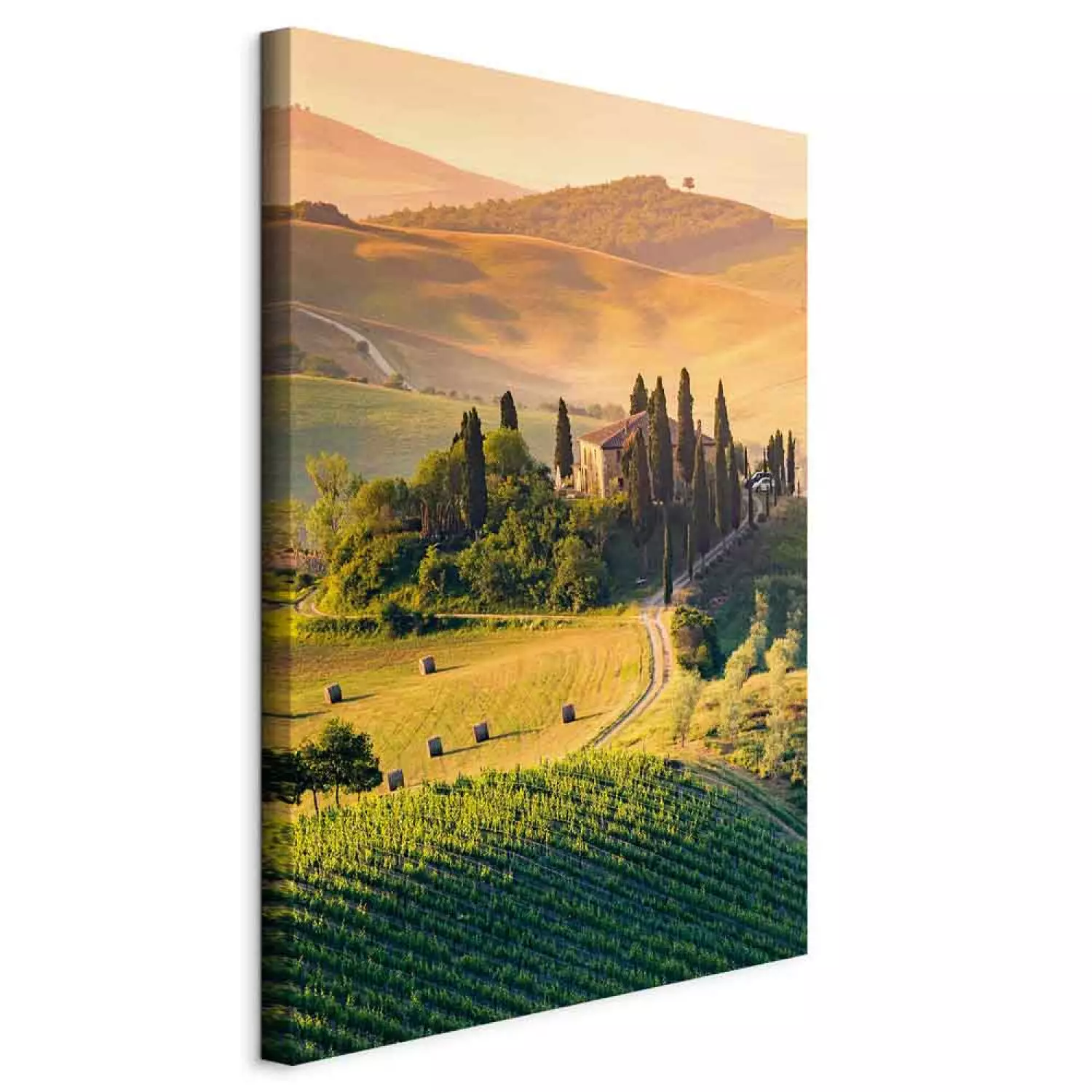 Canvas Sunny Fields of Tuscany - Landscape Photography at Sunset